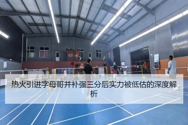 热火引进字母哥并补强三分后实力被低估的深度解析